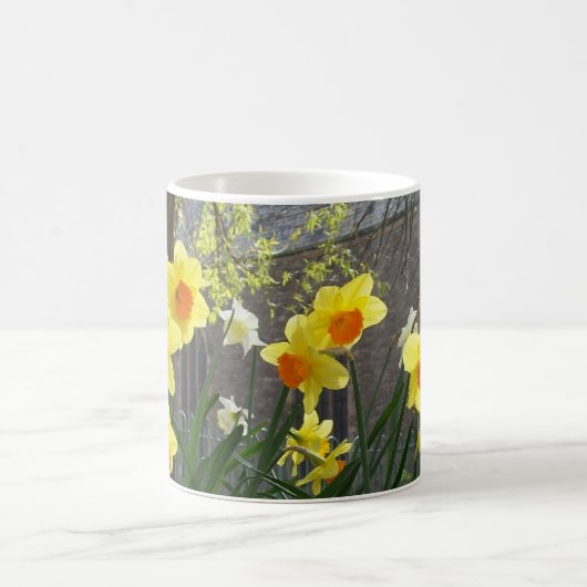 Daffodis Coffee Tasse (Mittel)