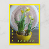 Daffodis Happy Oaster Cust.Text vertikale Postkart Postkarte (Vorderseite)