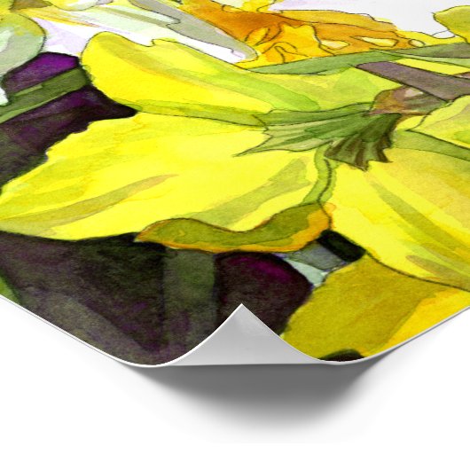 Daffodis Poster Print (Ecke)