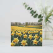 Daffodis Postkarte (Stehend Vorderseite)