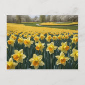Daffodis Postkarte (Vorderseite)