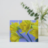 Daffodis Postkarte (Stehend Vorderseite)