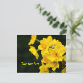 Daffodis Postkarte (Stehend Vorderseite)