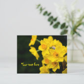 Daffodis Postkarte (Stehend Vorderseite)