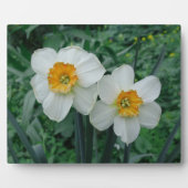 Daffodische Blume Fotoplatte (Vorderseite)