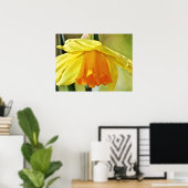 Daffodische Blume Gelbe Fotografie Print Poster (Heimbüro)