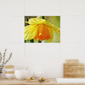Daffodische Blume Gelbe Fotografie Print Poster (Küche)
