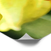 Daffodische Blume Gelbe Fotografie Print Poster (Ecke)
