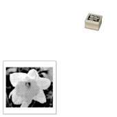 Daffodische Blume Gummistempel (Stempel)