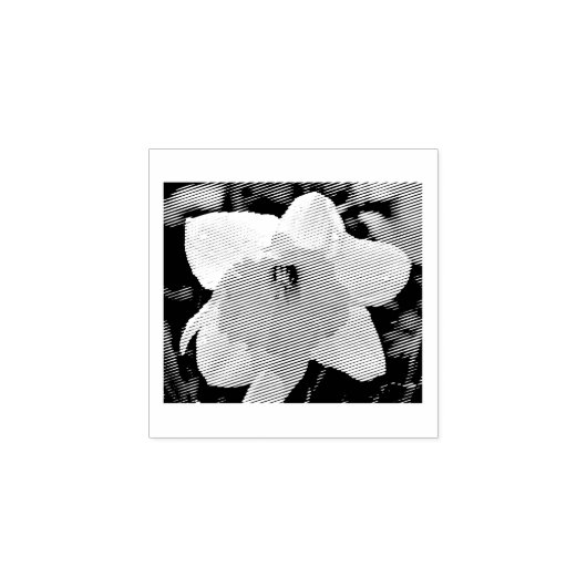 Daffodische Blume Gummistempel (Prägung)