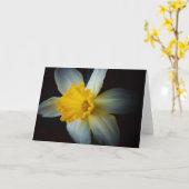 Daffodische Blume in der Lichtmerkkarte Karte (Gelbe Blume)