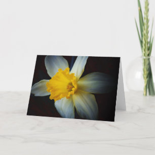 Daffodische Blume in der Lichtmerkkarte Karte