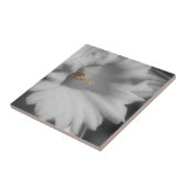 Daffodische Blume in Schwarz-Weiß Fliese (Seite)