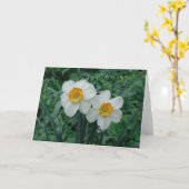 Daffodische Blume Karte (Gelbe Blume)