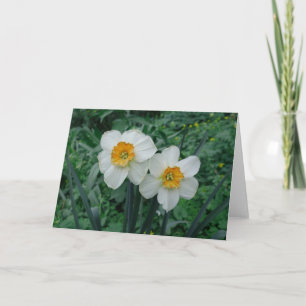 Daffodische Blume Karte