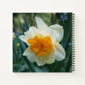 Daffodische Blume Notizblock (Rückseite)