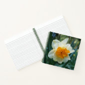 Daffodische Blume Notizblock (Innenseite)