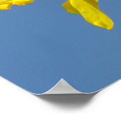 Daffodische Blume Plakatkunst druckt Blue Sky Spri Poster (Ecke)