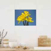 Daffodische Blume Plakatkunst druckt Blue Sky Spri Poster (Küche)