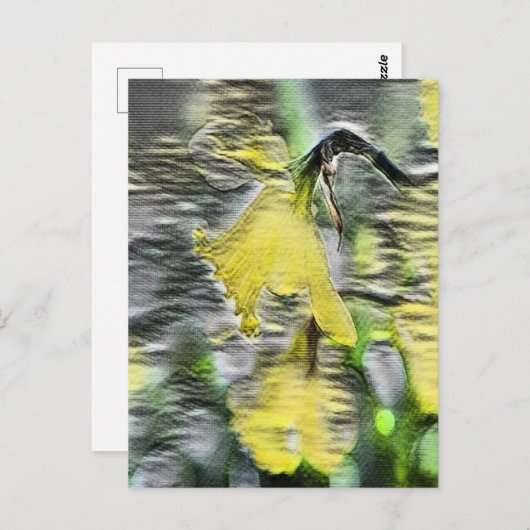 Daffodische Blume Postkarte (Vorne/Hinten)
