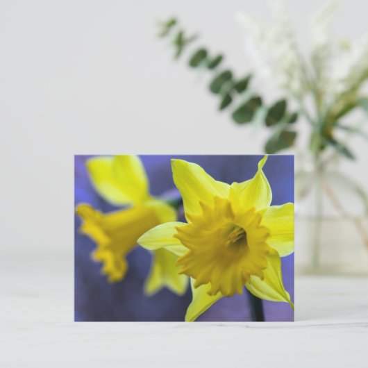 Daffodische Blume Postkarte (Stehend Vorderseite)