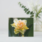 Daffodische Doppelfotografie Postkarte (Stehend Vorderseite)