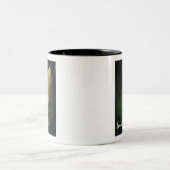Daffodische Fotografie Schöner Lebensartikel Zweifarbige Tasse (Mittel)
