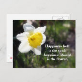 Daffodische Glücksfotografie und Zitat Postkarte (Vorne/Hinten)