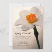 Daffodische Sängerin Einladung (Vorderseite)