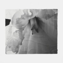 Daffodische Schwarz-Weiß-Fotografie