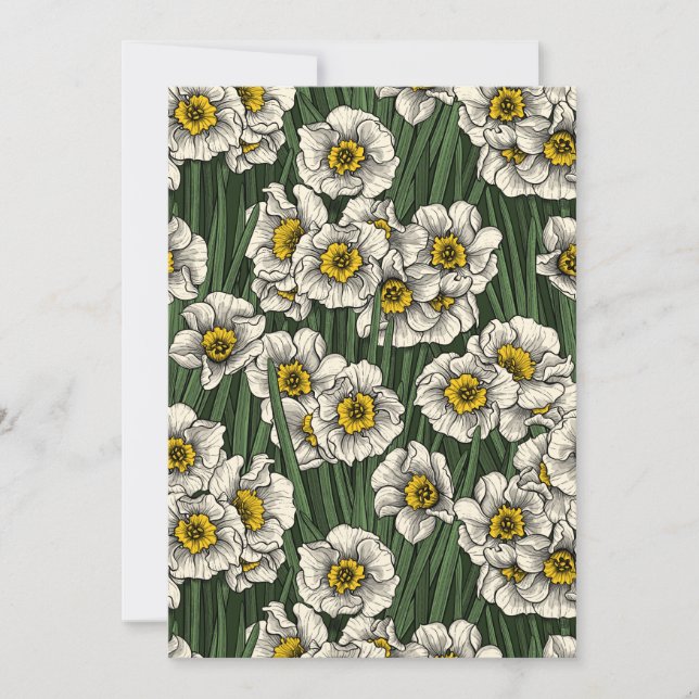 Daffodischer Garten (Vorderseite)