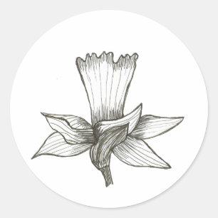 Daffodischer Sticker
