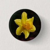 Daffodisches Abzeichen Button (Vorderseite)