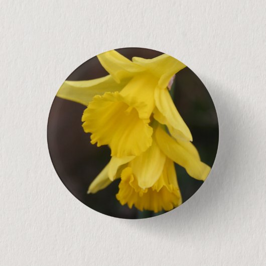 Daffodisches Abzeichen Button (Vorderseite)