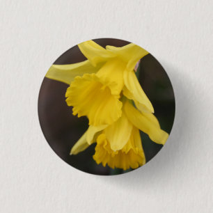 Daffodisches Abzeichen Button