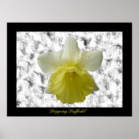 Daffoldil-Drilling - Anpassbare Druckausgabe Poster (Vorne)
