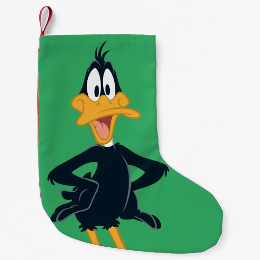 DAFFY DUCK™ KLEINER WEIHNACHTSSTRUMPF (Vorderseite)