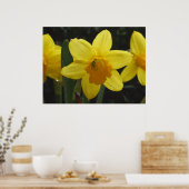 Daffy Poster (Küche)