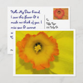 Daffy Postkarte (Vorne/Hinten)