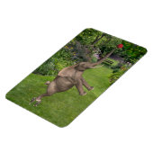 Dafür sind Freunde Magnet (Linke Seite)