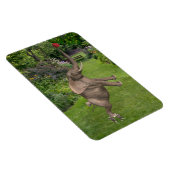 Dafür sind Freunde Magnet (Rechte Seite)