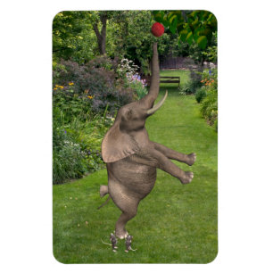 Dafür sind Freunde Magnet