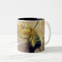Dagger Moth Raupe Natur Personalisiert