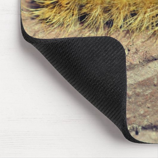 Dagger Moth Raupe Nature Mousepad (Ecke)