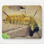 Dagger Moth Raupe Nature Mousepad (Vorne)