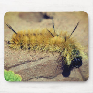 Dagger Moth Raupe Nature Mousepad