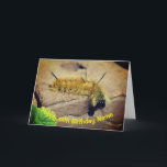 Dagger Moth Raupe Personalisiert Geburtstag  Karte<br><div class="desc">Diese niedliche, kleine, gelbe Dagger-Motte-Raupe sah direkt in die Kamera, während ich sein Foto machte. Naturfotografie von Susan. Klicken Sie auf Anpassen, um einen beliebigen Text zu ändern oder hinzuzufügen, sowie Schriftart Größe, Farbe und Stil zu ändern. Dieses Design ist auf vielen Produkten in meiner Galerie erhältlich. Besuchen Sie Smilin...</div>