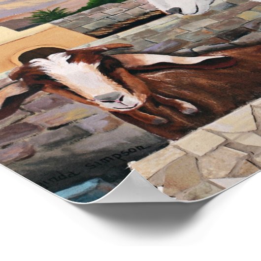 Dahab Goats Poster (Ecke)