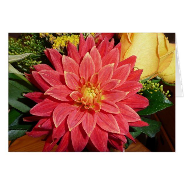 Dahlia (Vorderseite (Horizontal))