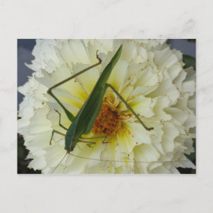 Dahlia 1 - Erziehungsbrainfart Postkarte